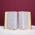 Velvet Fancy Quran with Rehl Box