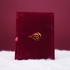 Velvet Fancy Quran with Rehl Box